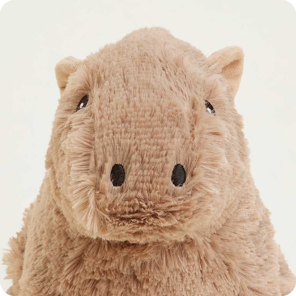 Image 105: Capybara Stuffed Animal Warmies