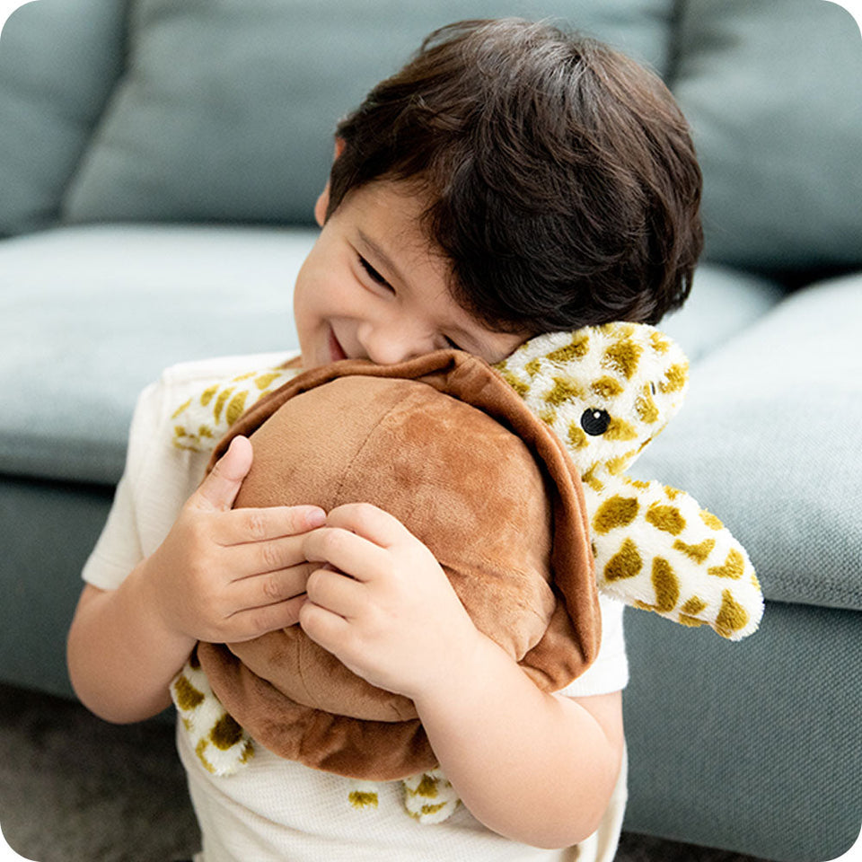 Turtle - Lucid Cupboard Cozy Range