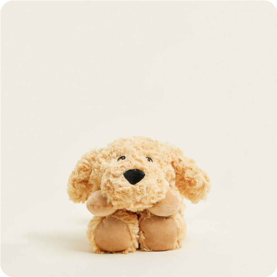 Golden Dog Wrap - Tidy Cabinet Everyday Range