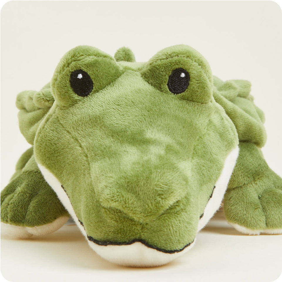Alligator Junior - Vivid Gallery Little Range