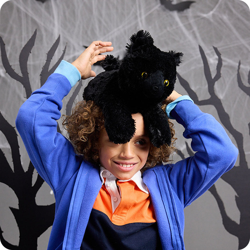 Black Cat - Nimble Shelf Cozy Range