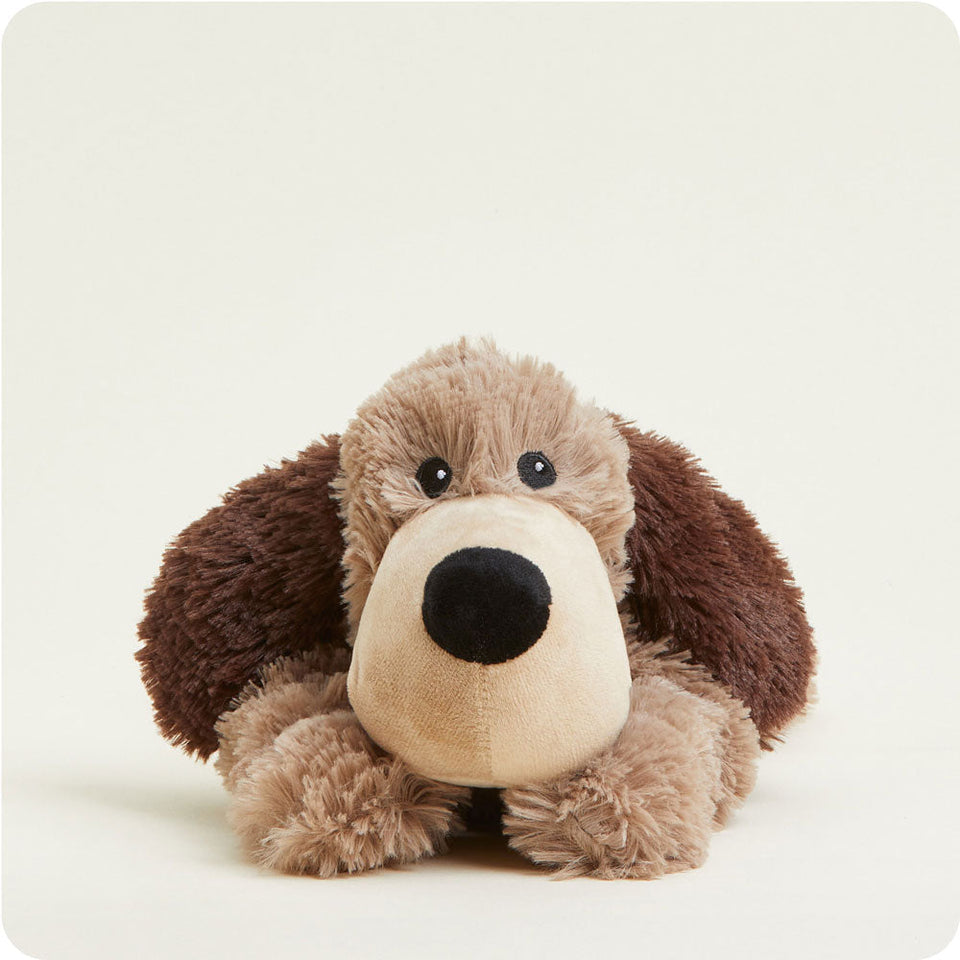 Brown Dog - Golden Gallery Snuggle Range