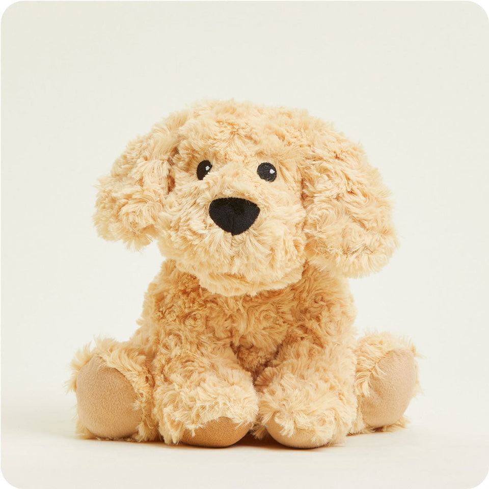 Golden Dog - Eager Gallery Cuddle Range